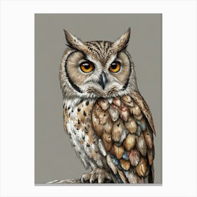 Owl Canvas Print 1 Canvas Print