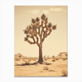  Photograph Of A Joshua Tree In A Sandy Desert 1 Canvas Print