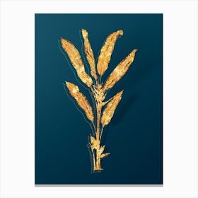 Vintage Parrot Heliconia Botanical in Gold on Teal Blue Canvas Print