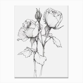 English Rose Black And White Line Drawing 12 Canvas Print