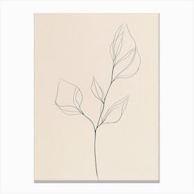 Lily Of The Valley 10 Canvas Print