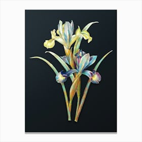 Vintage Spanish Iris Botanical Watercolor Illustration on Dark Teal Blue n.0173 Canvas Print