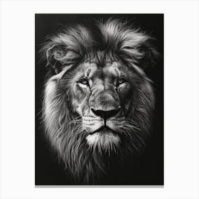 Barbary Lion Charcoal Drawing Portrait Close Up 4 Canvas Print