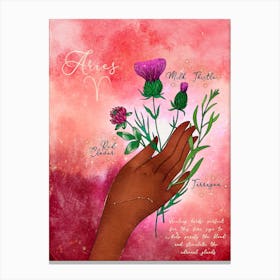 Aries Healing Herbs Canvas Print