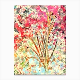 Impressionist Bermudiana Botanical Painting in Blush Pink and Gold n.0044 Canvas Print