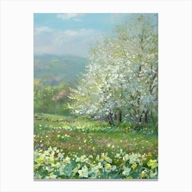 Daffodil Field Canvas Print