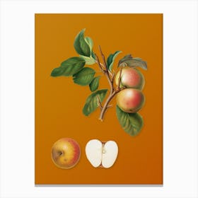 Vintage Pupina Apple Botanical on Sunset Orange n.0212 Canvas Print