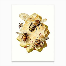 Colony Bees 1 Vintage Canvas Print