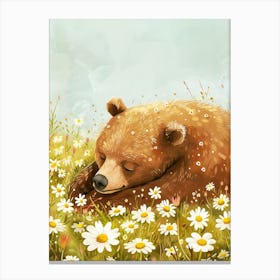 Brown Bear Resting In A Field Of Daisies Storybook 3 Canvas Print