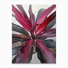 Red And Black Plant Canvas Print