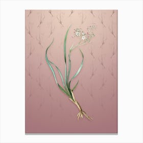 Vintage Phalangium Bicolor Botanical on Dusty Pink Pattern n.0775 Canvas Print
