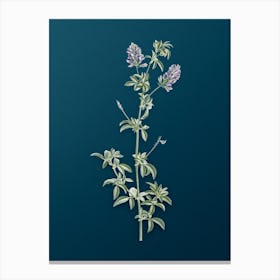 Vintage Spanish Clover Bloom Botanical Art on Teal Blue n.0660 Canvas Print