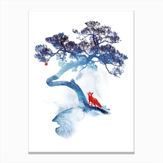 The Last Apple Tree Canvas Print