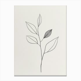 Leaf On A Branch 10 Canvas Print