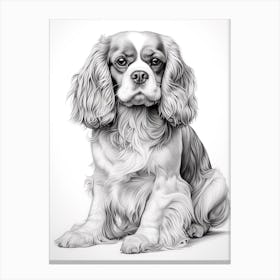 Cavalier King Charles Spaniel Dog, Line Drawing 2 Canvas Print