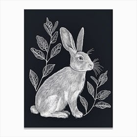 Holland Lop Rabbit Minimalist Illustration 2 Canvas Print