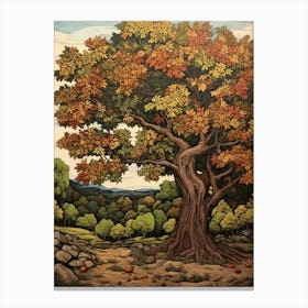 English Walnut Vintage Autumn Tree Print  Canvas Print
