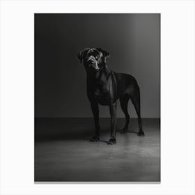 Black And White Dog Portrait. Generated AI. Art Print Canvas Print