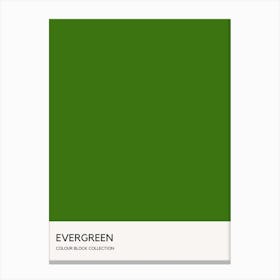 Evergreen Colour Block Poster Canvas Print