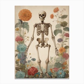 Botanical Skeleton Vintage Painting (7) Canvas Print
