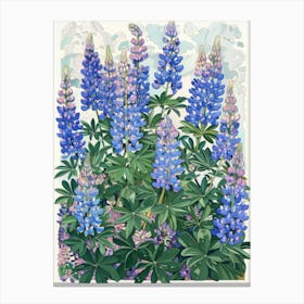 Lupines Canvas Print