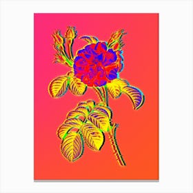 Neon Pink Wild Rose Botanical in Hot Pink and Electric Blue n.0609 Canvas Print