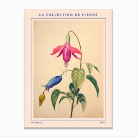 Fuchsia 2 French Flower Botanical Poster Canvas Print
