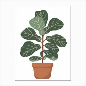 Fig Tree In A Pot Canvas Print
