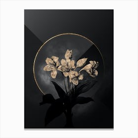 Shadowy Vintage Crinum Giganteum Botanical on Black with Gold Canvas Print
