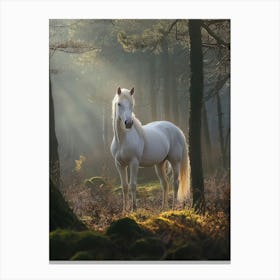 White Horse In The Forest. Generated AI. Art Print 2 Canvas Print