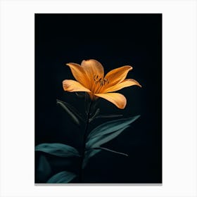 Orange Lily 3 Canvas Print