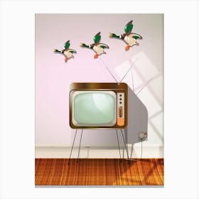 Tv and flying ducks. Canvas Print