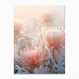 Frosty Botanical Protea 2 Canvas Print
