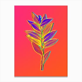 Neon Smilacina Stellata Botanical in Hot Pink and Electric Blue n.0245 Canvas Print
