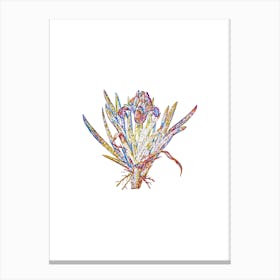 Stained Glass Pygmy Iris Mosaic Botanical Illustration on White n.0311 Canvas Print