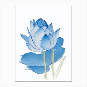 Blue Lotus Pencil Illustration 7 Canvas Print