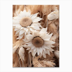 Boho Dried Flowers Sunflower 4 Canvas Print