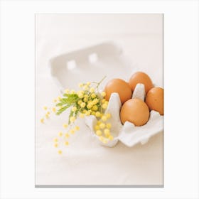 Eggs And Mimosas Canvas Print