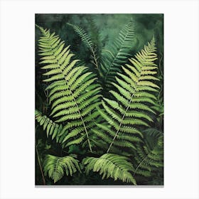 Ruffled Fern Painting 4 Canvas Print