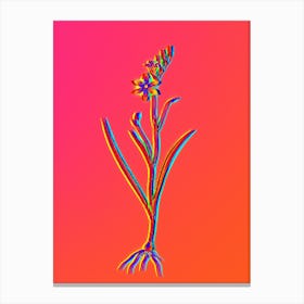 Neon Ixia Secunda Botanical in Hot Pink and Electric Blue n.0271 Canvas Print