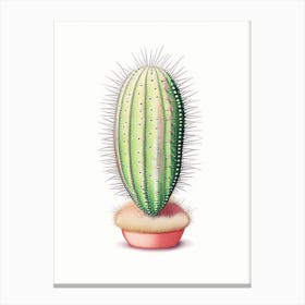 Pincushion Cactus Marker Art 2 Canvas Print