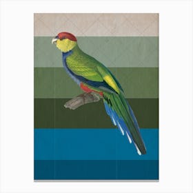 Tropical Bird Canvas Print