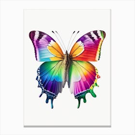 Butterfly On Rainbow Decoupage 3 Canvas Print