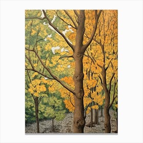 Eastern Cottonwood 2 Vintage Autumn Tree Print  Canvas Print