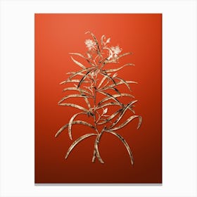 Gold Botanical Narrow Leaved Spider Flower on Tomato Red Canvas Print