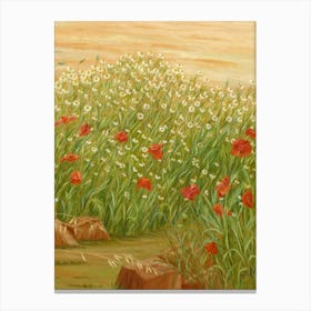 Daisies And Poppies Canvas Print