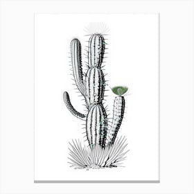 Rat Tail Cactus William Morris Inspired 3 Canvas Print