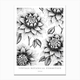 Dahlia B&W Vintage Botanical Poster Canvas Print