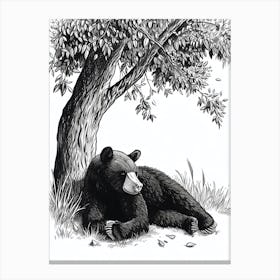 Malayan Sun Bear Laying Under A Tree Ink Illustration 1 Canvas Print