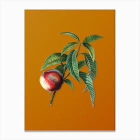 Vintage Peach Botanical on Sunset Orange n.0615 Canvas Print